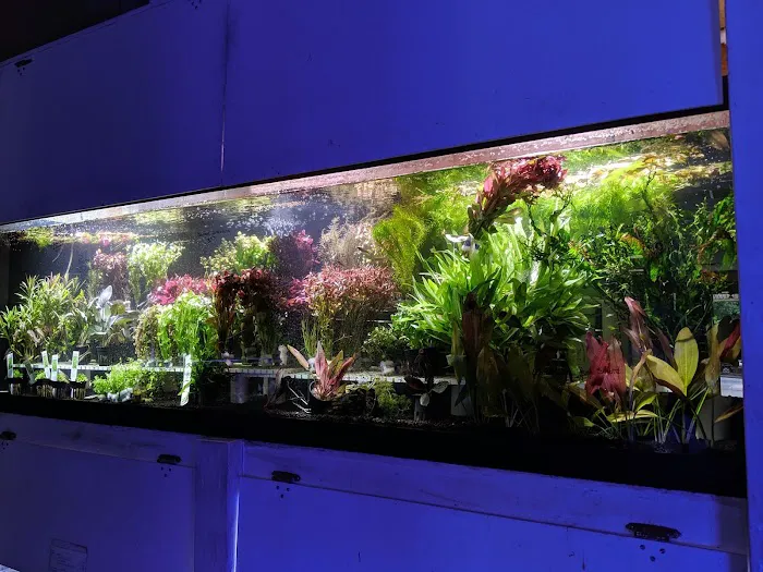 Rivers to Reefs Aquariums Picture 7