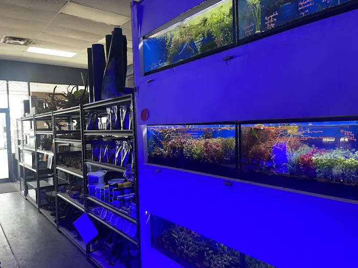 Rivers to Reefs Aquariums Picture 4