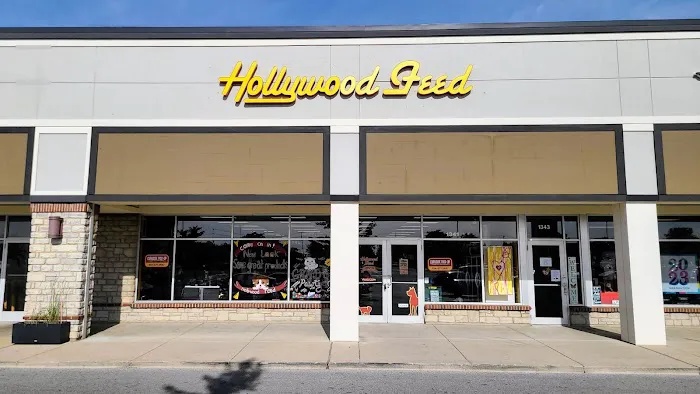 Hollywood Feed Picture 1