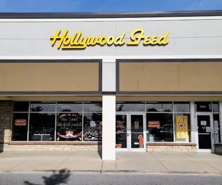 Hollywood Feed