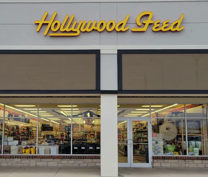 Hollywood Feed Picture 7