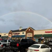 Petland Gahanna ico