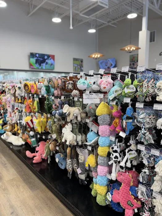 Petland Gahanna Picture 4