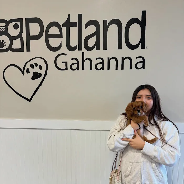 Petland Gahanna Picture 7