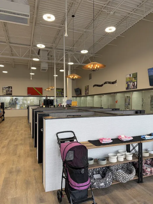 Petland Gahanna Picture 5