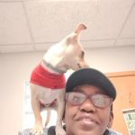 Stone Ridge Veterinary Hospital: Hubbard Susan DVM