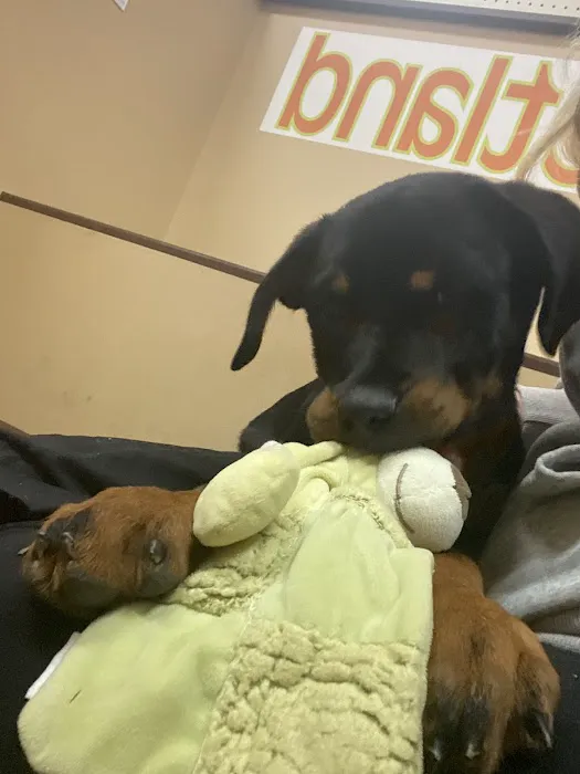 Petland Pickerington Picture 2