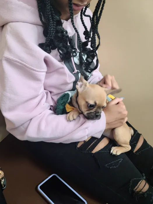Petland Pickerington Picture 10