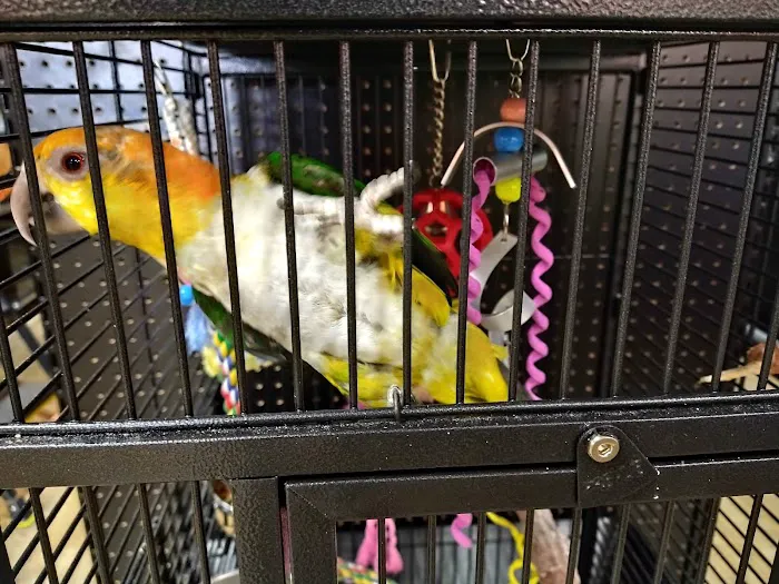 Petland Pickerington Picture 6