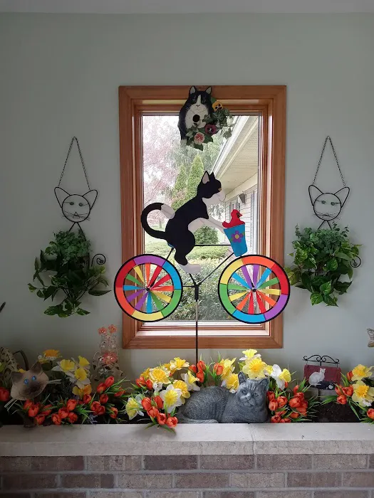 Caring For Cats Picture 4