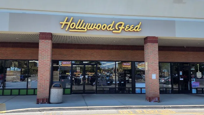 Hollywood Feed Picture 2