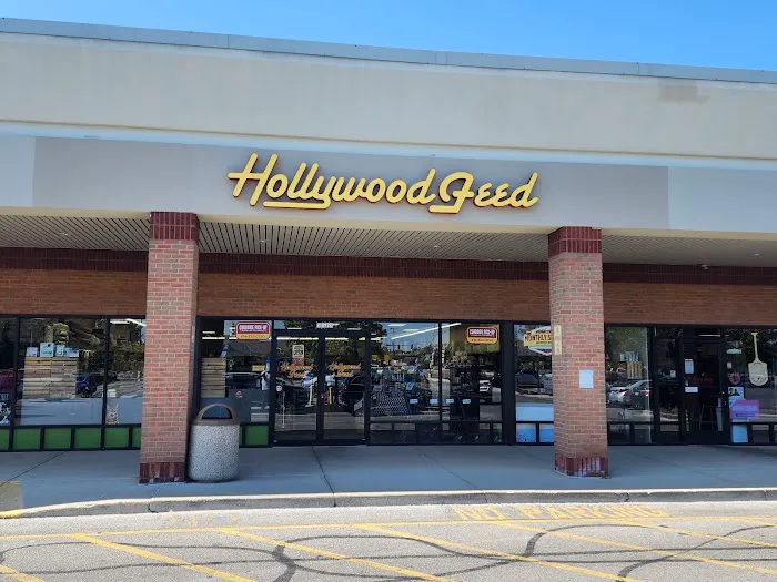 Hollywood Feed Picture 7
