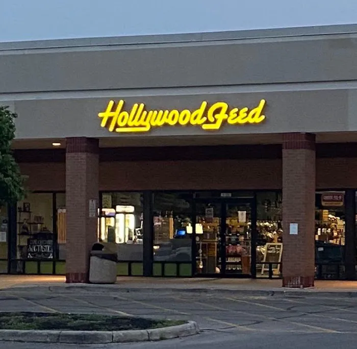 Hollywood Feed Picture 6