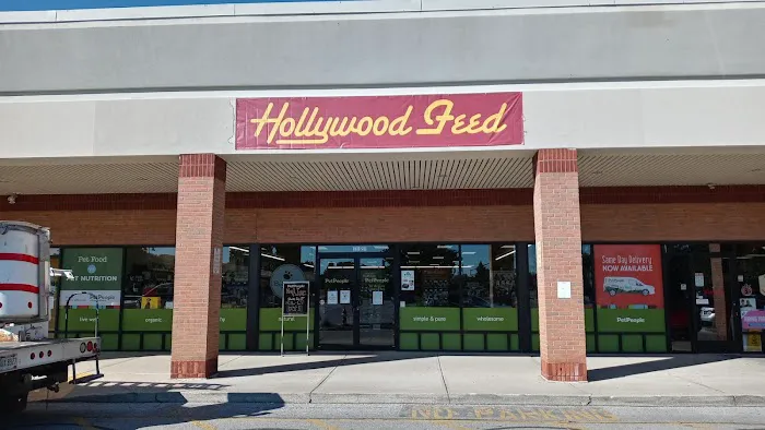 Hollywood Feed Picture 9