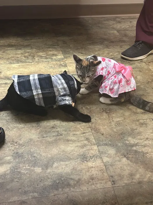Greece Animal Hospital Picture 2
