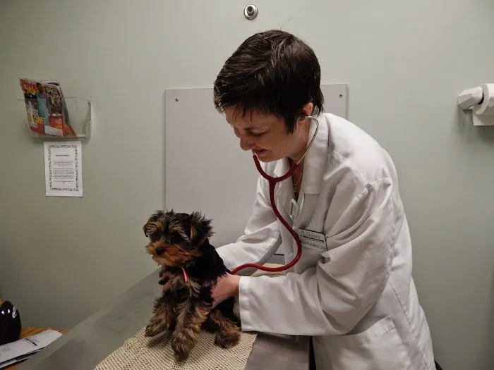 Greece Animal Hospital Picture 6