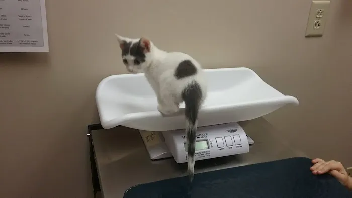 Greece Animal Hospital Picture 3