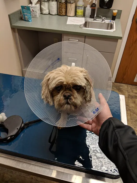 Greece Animal Hospital Picture 7