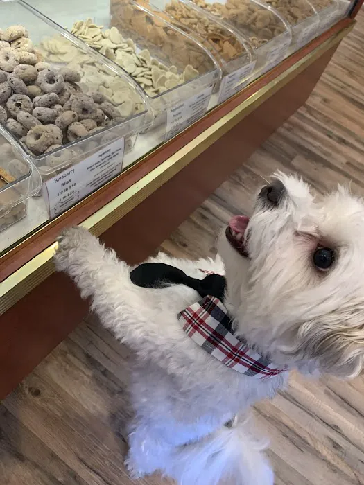 Nom Nom Nom Dog Bakery CW Picture 2