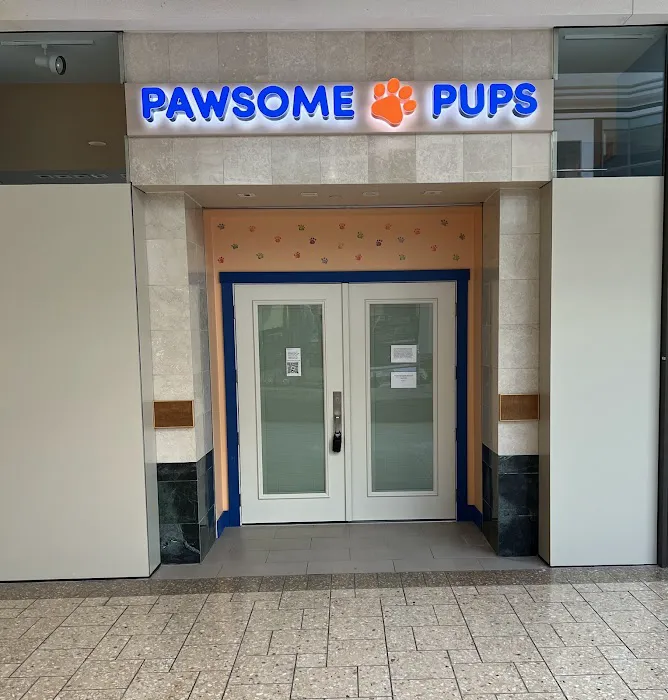 Pawsome Pups Puppies For Sale Picture 1