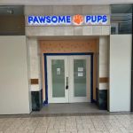 Pawsome Pups Puppies For Sale