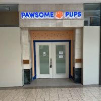 Pawsome Pups Puppies For Sale ico