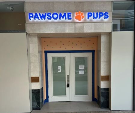 Pawsome Pups Puppies For Sale