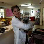 Madenjian Robert S DVM