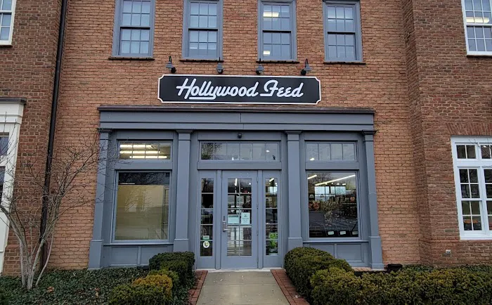 Hollywood Feed Picture 4