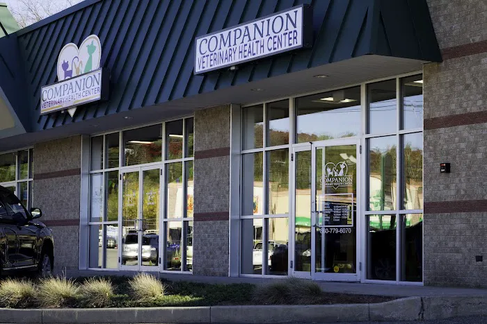 Companion Veterinary Health Center Picture 1