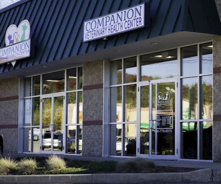 Companion Veterinary Health Center