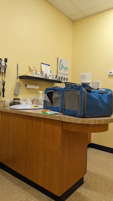 Companion Veterinary Health Center Picture 6