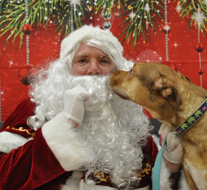 Companion Veterinary Health Center Picture 2