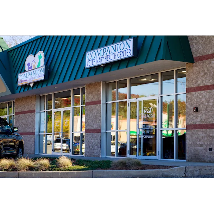 Companion Veterinary Health Center Picture 3