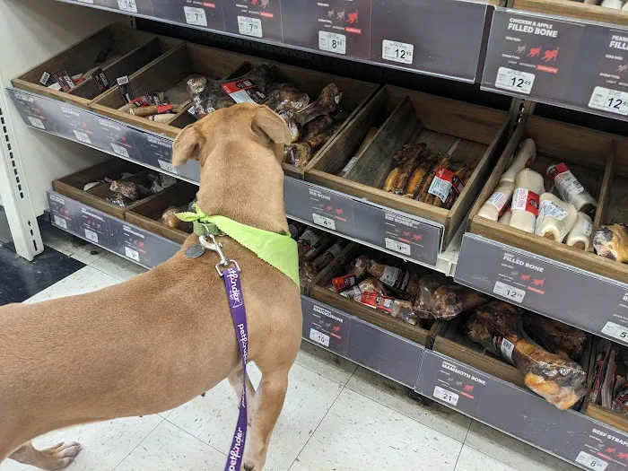 Petco Picture 3