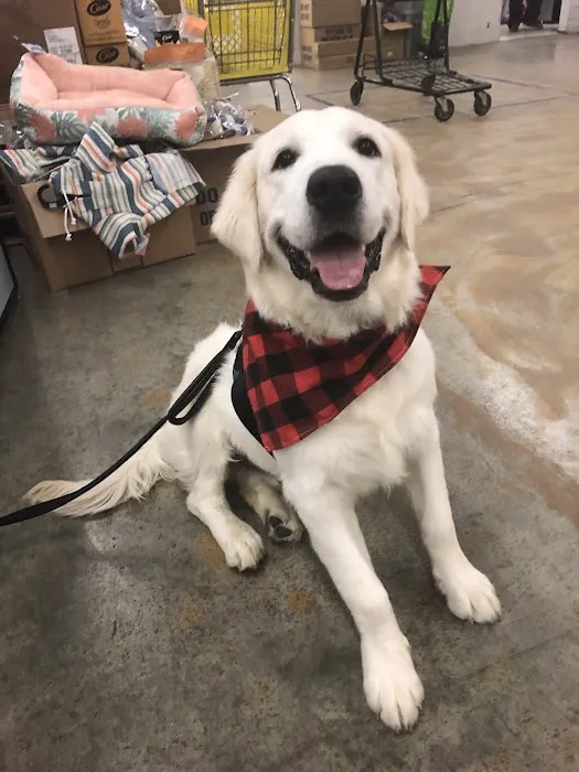 Petco Picture 5