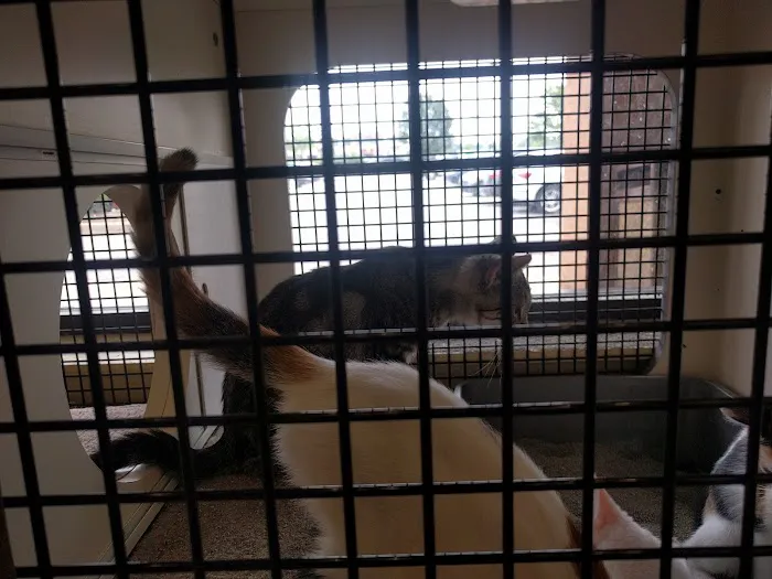 Petco Picture 4