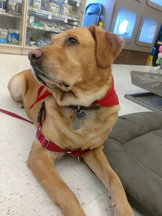 Petco Picture 6