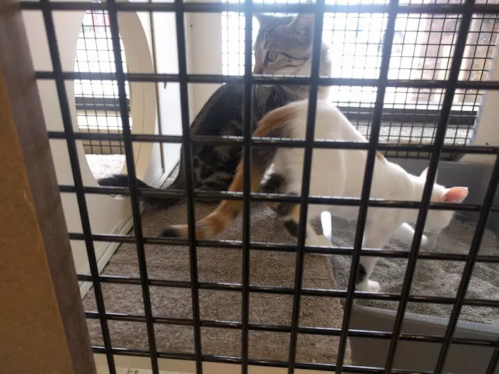 Petco Picture 8