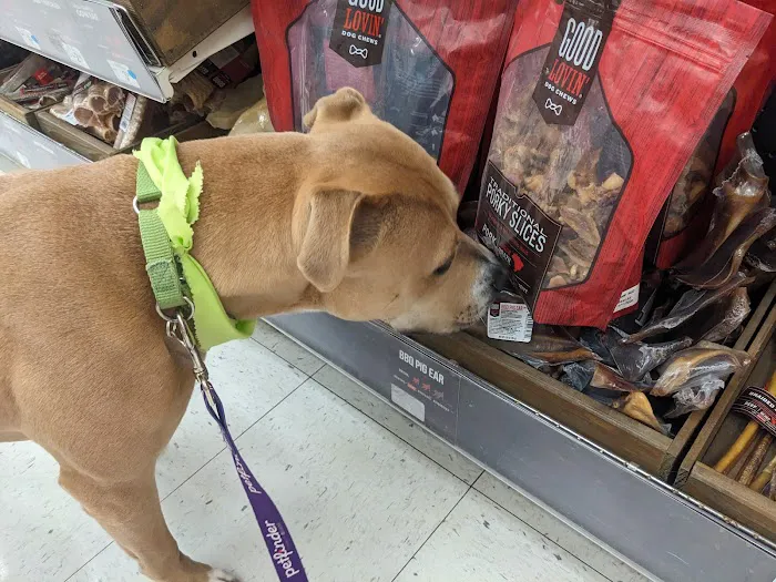 Petco Picture 10