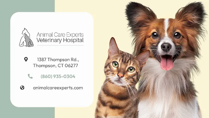 Animal Care Experts Veterinary Hospital Picture 3