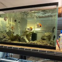 The Fish and Reptile Room ico