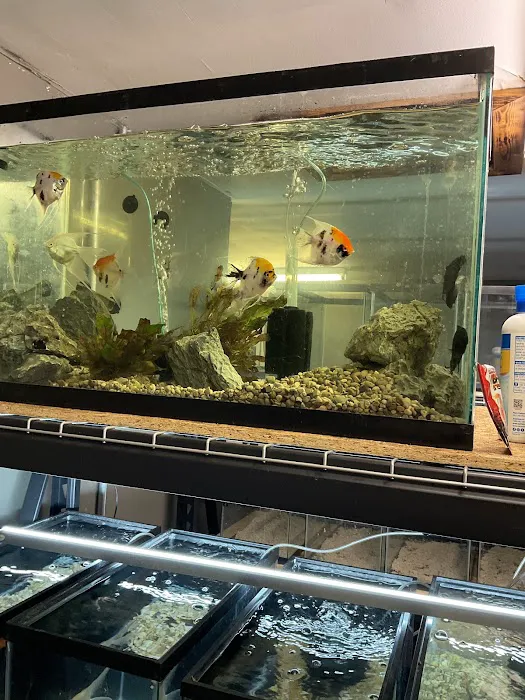 The Fish and Reptile Room Picture 2