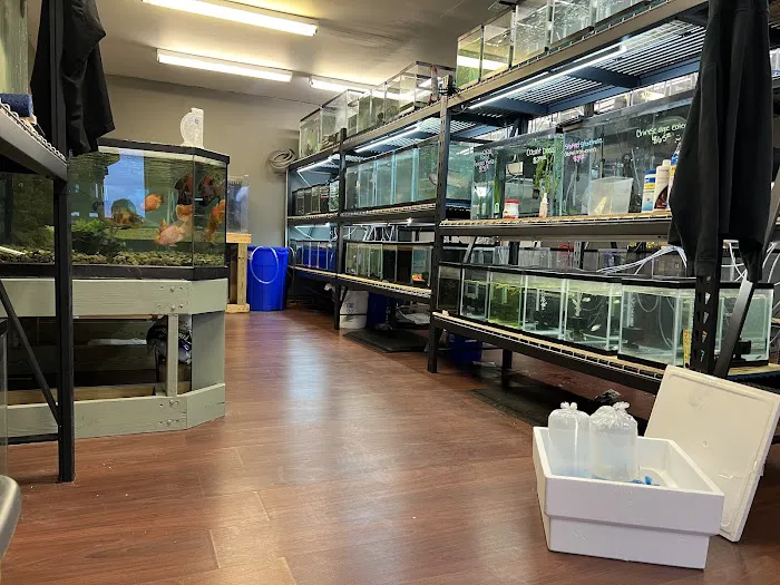 The Fish and Reptile Room Picture 6