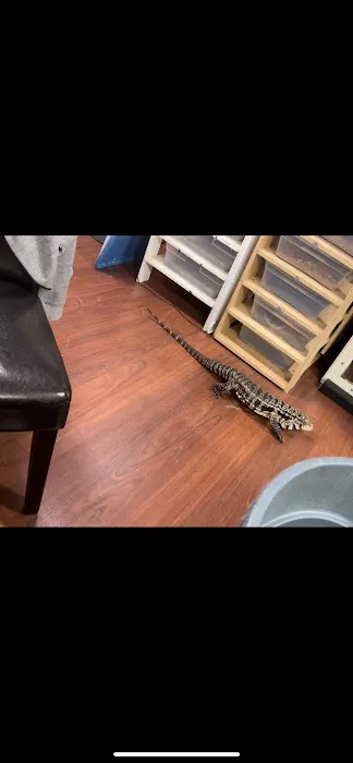 The Fish and Reptile Room Picture 7