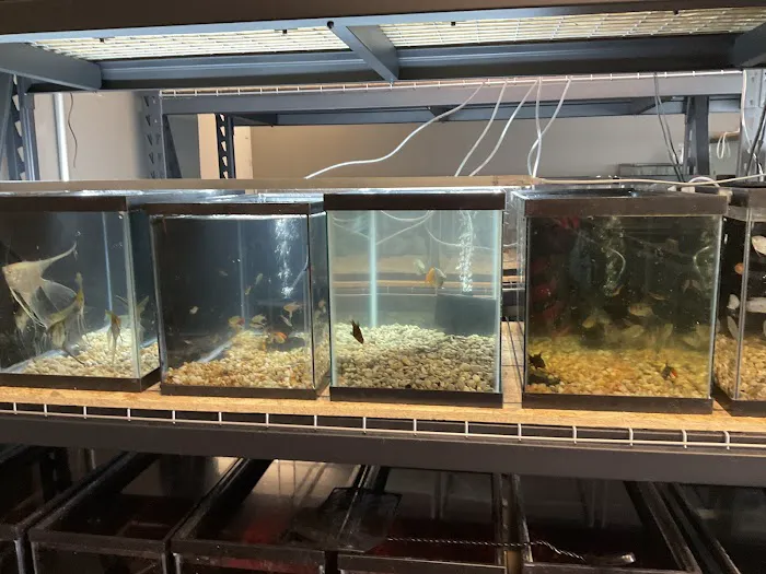 The Fish and Reptile Room Picture 9