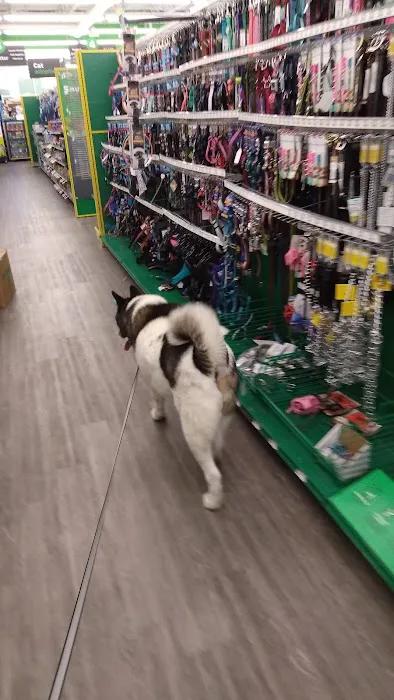 Pet Supplies Plus Westerville Picture 9