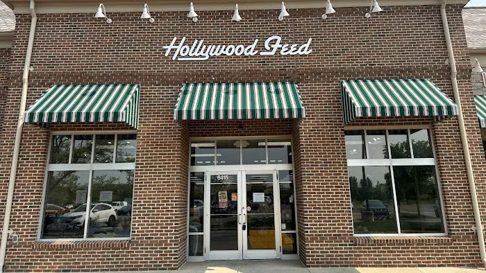 Hollywood Feed Picture 2