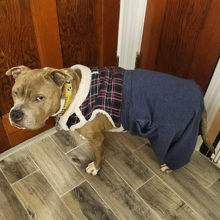 Big River Veterinary Service Picture 7