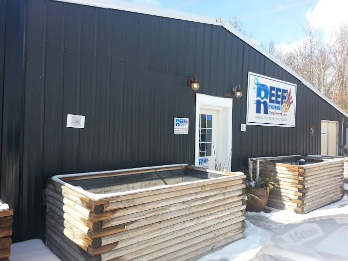 Reef Systems Coral Farm Inc Picture 2
